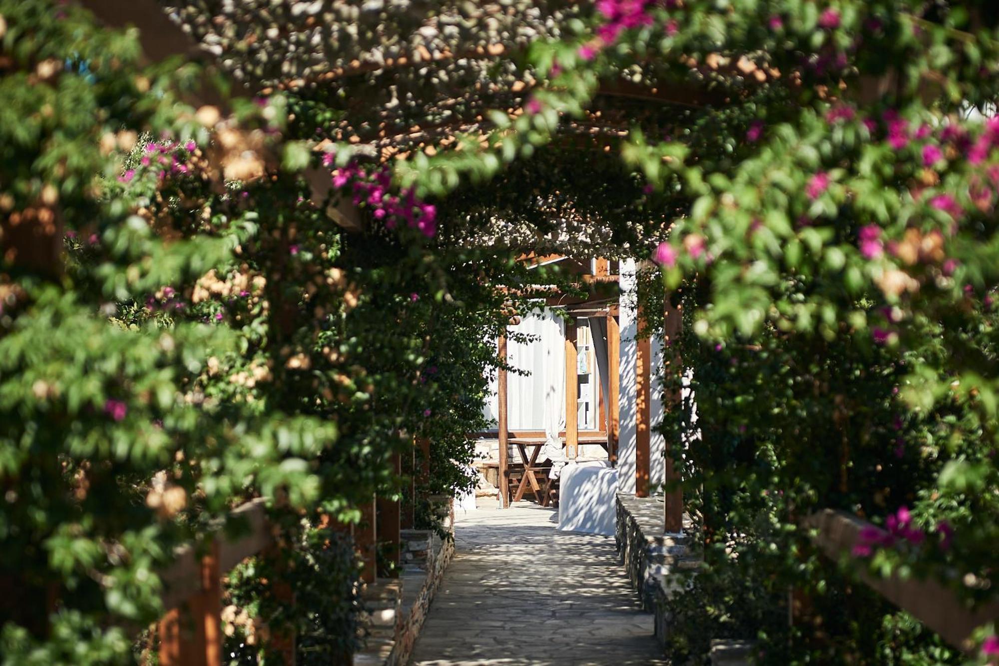 Dream On Plaka Hotel Exterior photo